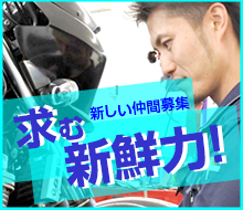 求む新鮮力！新しい仲間募集