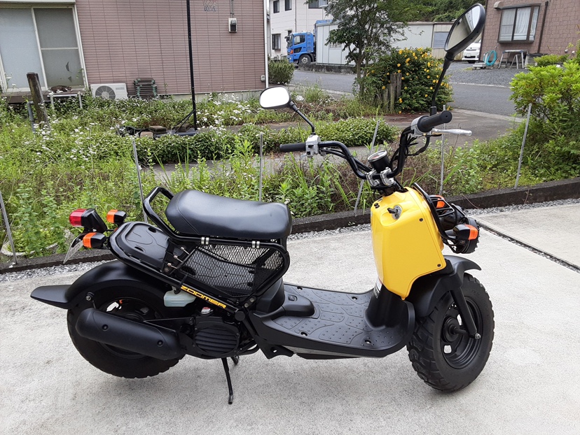 20230612_130634 ズーマー 栃木県