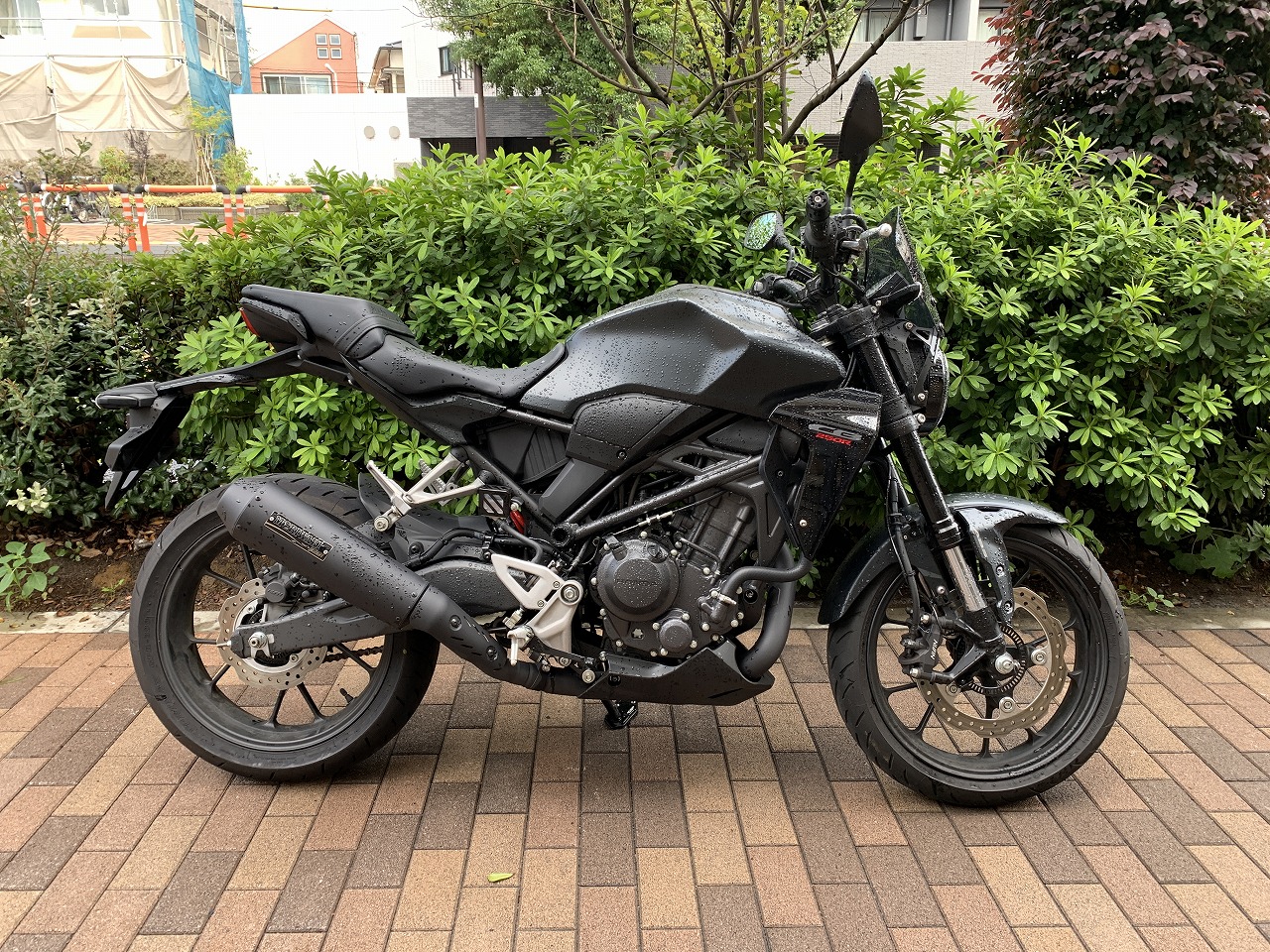 50434 CB250R