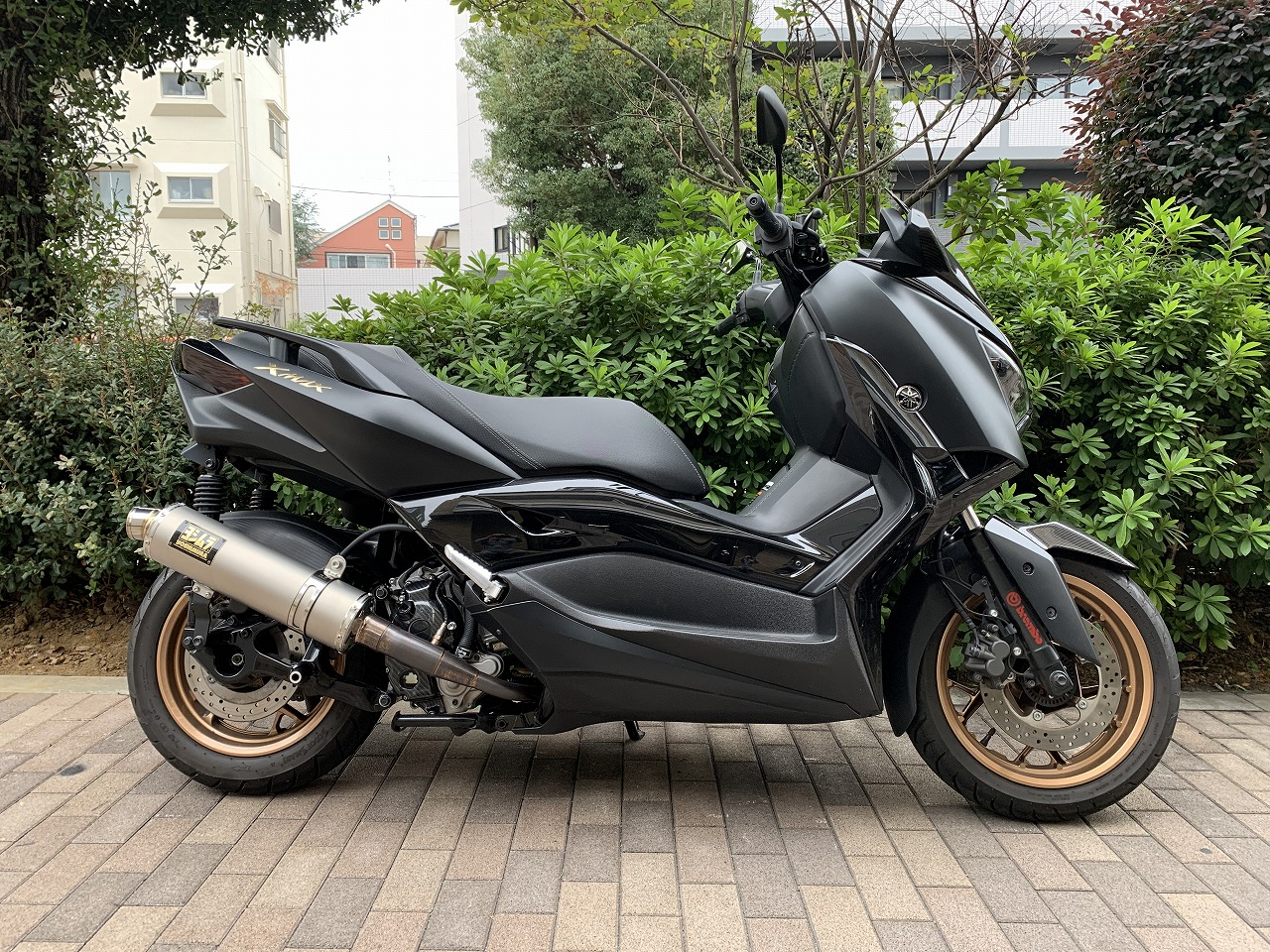 50898 XMAX