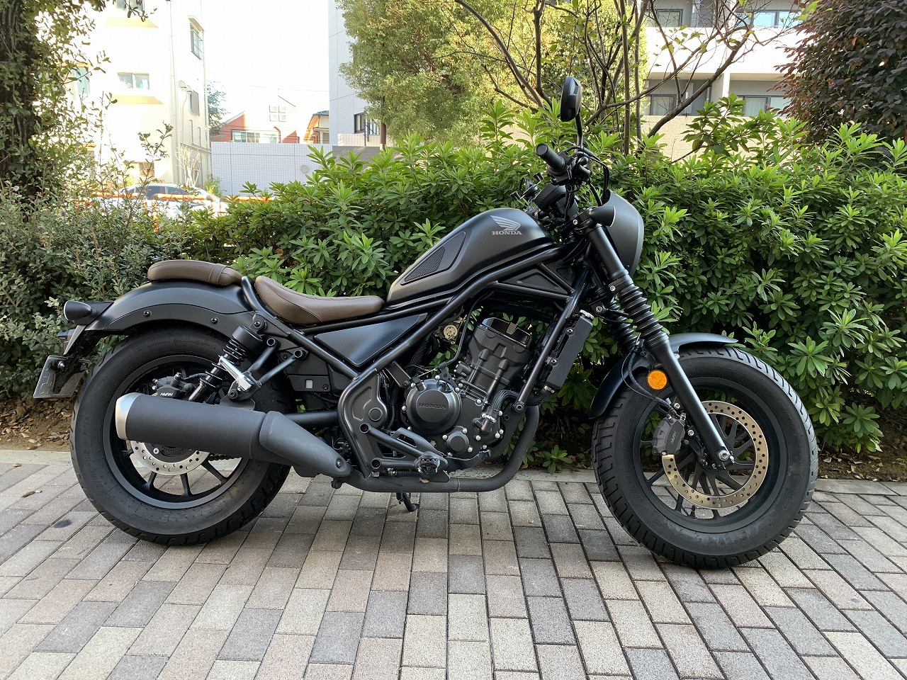 51222 レブル250S