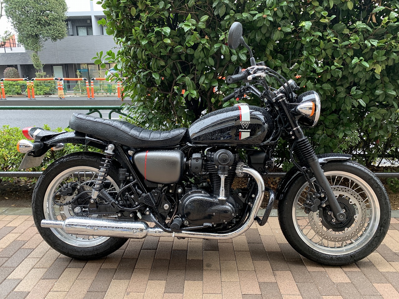 52702 W800ストリート