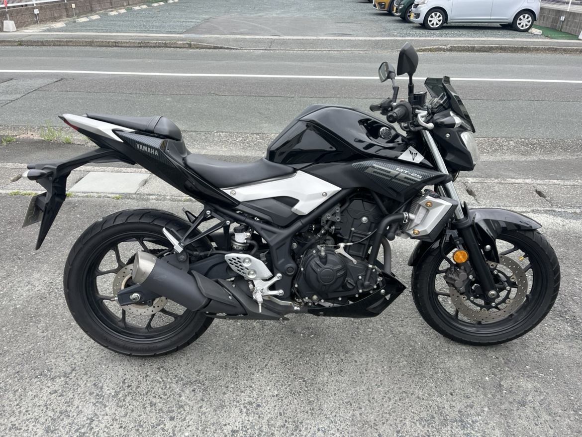 MT-25 静岡